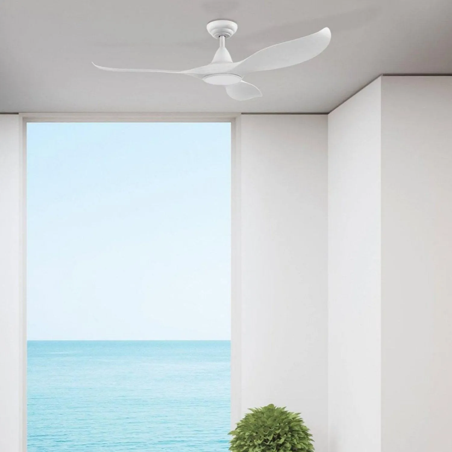 52" Noosa DC Ceiling Fan Black, White, Titanium 203369, 203371, 204746 Eglo Lighting