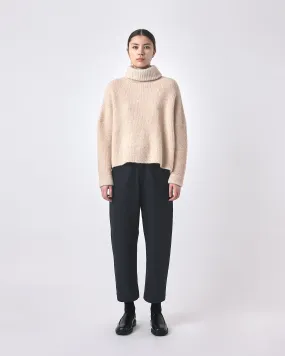 Alpaca Striped Turtleneck - FW23 - Light Stripes