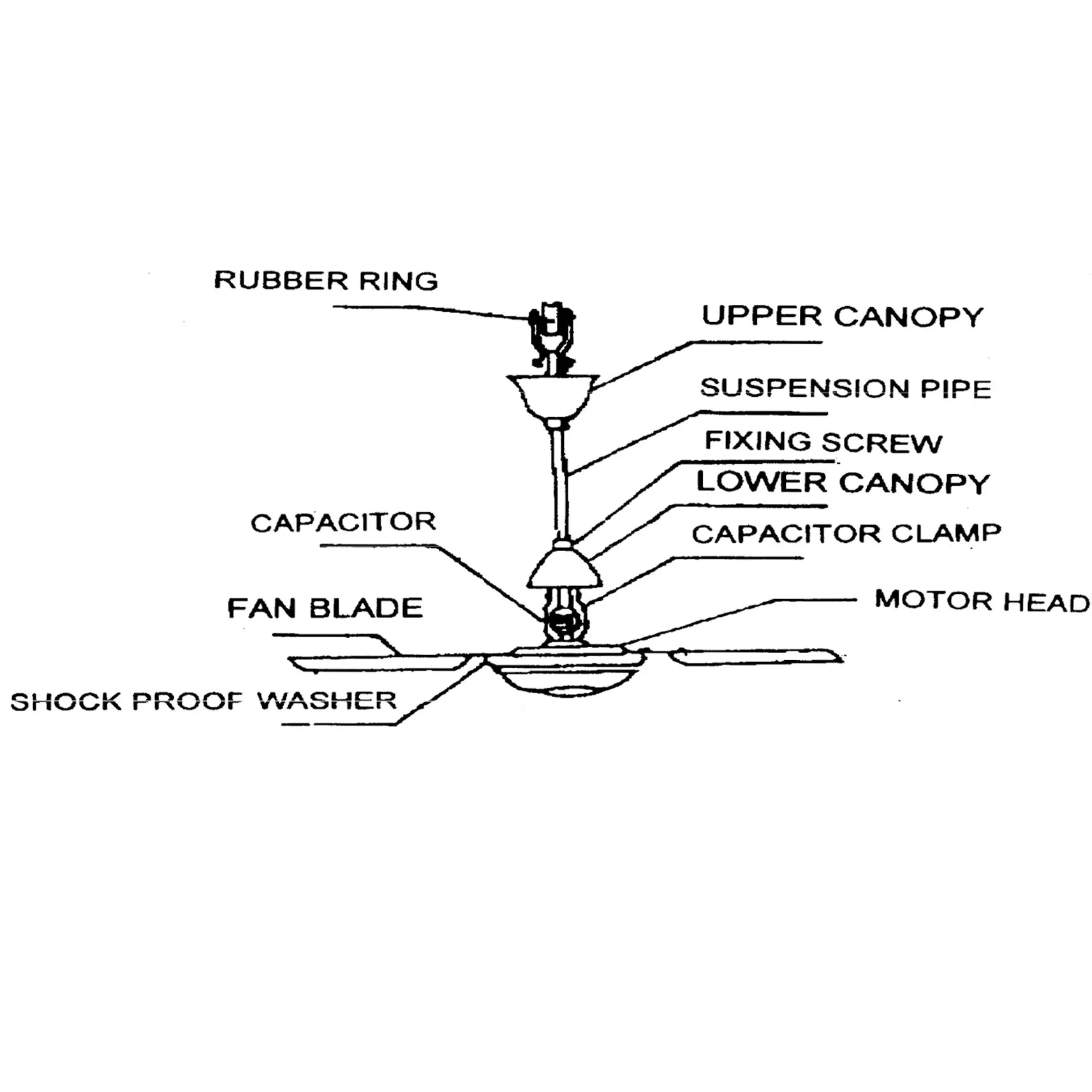 Ceiling Fan (Ø48")