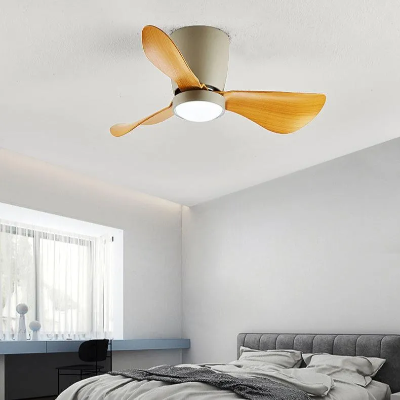 Garris | Lighted Ceiling Fan