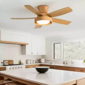 Jermareo | Lighted Ceiling Fan